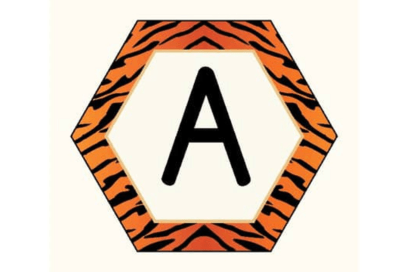 Download Animal Skins Bulletin Board Letters - Animal skins Collection