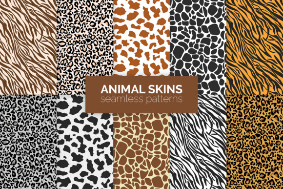 Download Animal Skins Seamless Patterns - Animal skins Collection